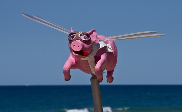 Flying Pigs