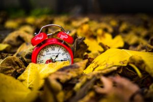 Daylight Savings Time