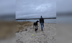 woman and dog dogs on beach